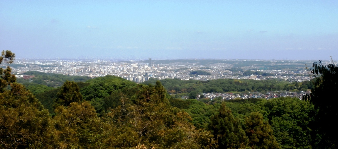 9合目付近からの遠望